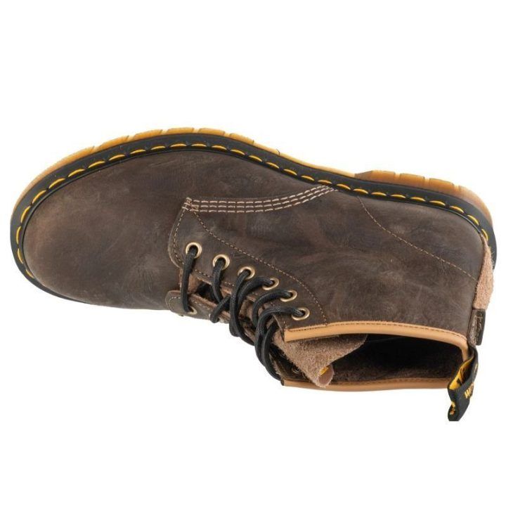 Vyriški odiniai aulinukai su raišteliais Dr. Martens 101, rudi