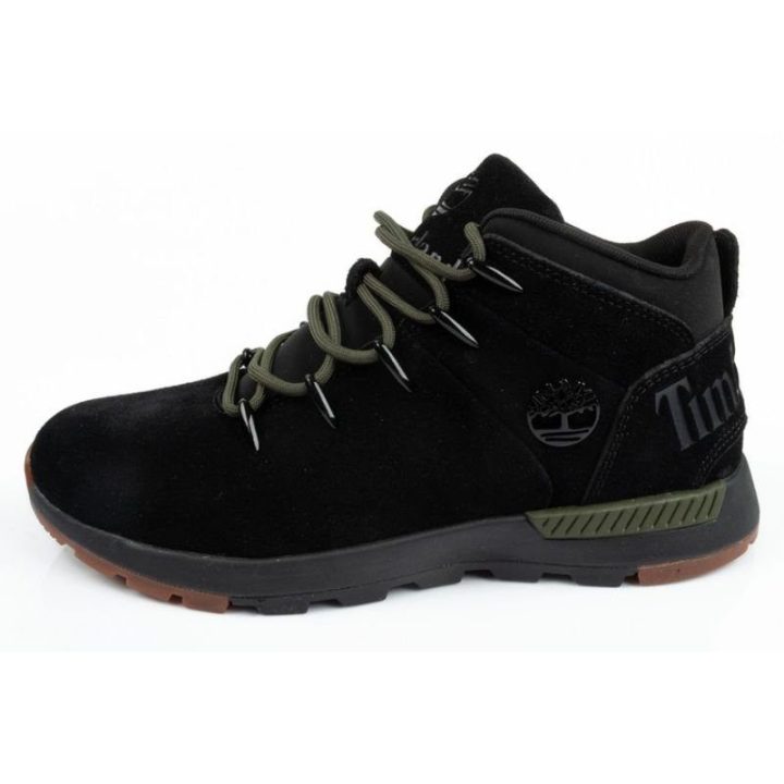Vyriški odiniai žygio batai Timberland Lace Up, juodi