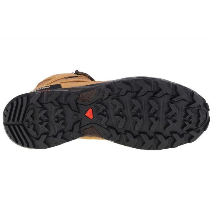 Vyriški žygio batai Salomon X Ward Leather Mid GTX, rudi