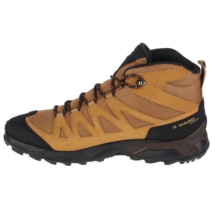Vyriški žygio batai Salomon X Ward Leather Mid GTX, rudi