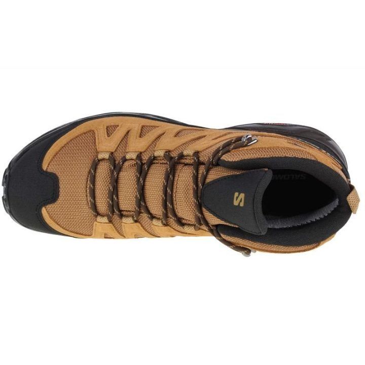 Vyriški žygio batai Salomon X Ward Leather Mid GTX, rudi