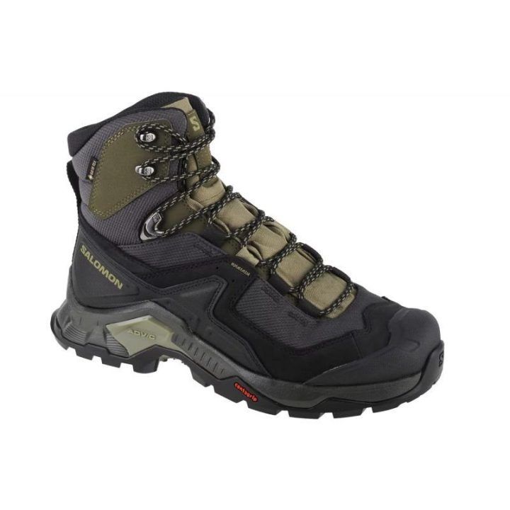 Vyriški auliniai batai žygiams Salomon Quest Element GTX, žali