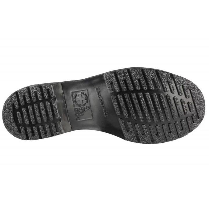 Moteriški odiniai aulinukai Dr. Martens 1460 Pascal Mono
