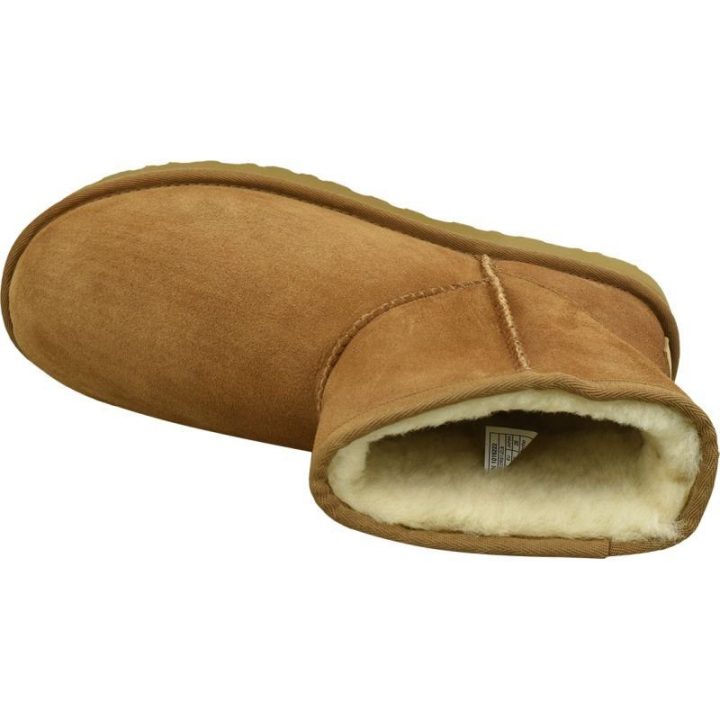 Moteriški odiniai žieminiai aulinukai UGG Classic Mini II, rudi