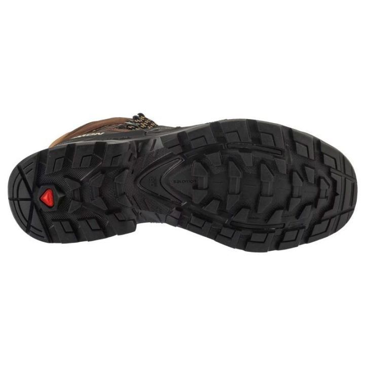 Moteriški batai su GORE-TEX membrana Salomon Quest 4 GTX, rudi