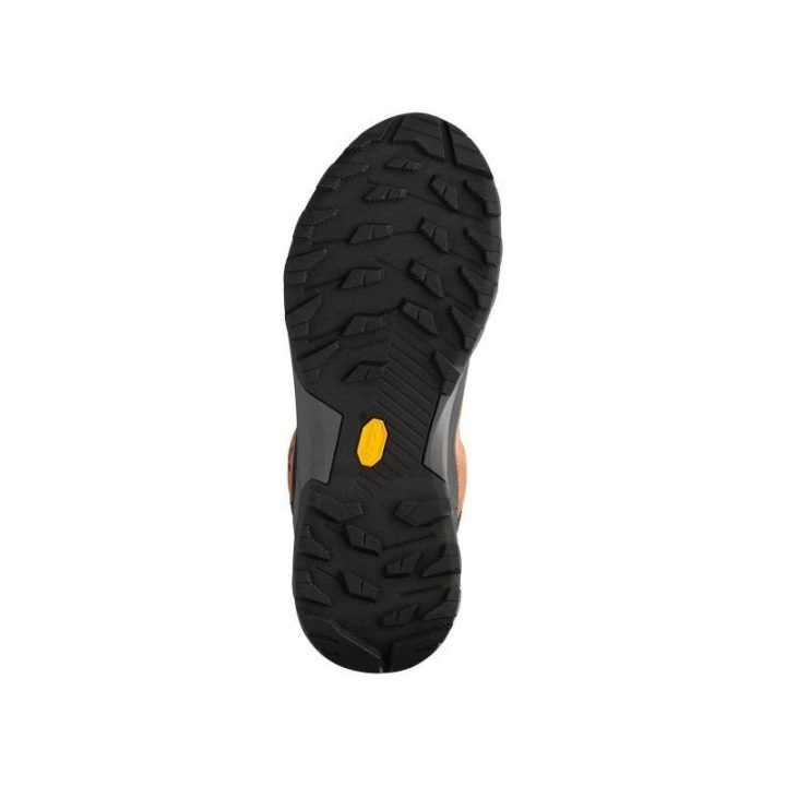Vyriški žygio batai su GORE-TEX membrana Millet Ubic Low GTX, rudi