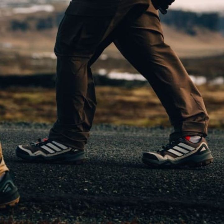 Moteriški neperšlampami batai adidas Terrex Skychaser GTX, įvairiaspalviai