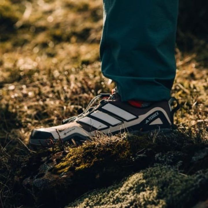Moteriški neperšlampami batai adidas Terrex Skychaser GTX, įvairiaspalviai