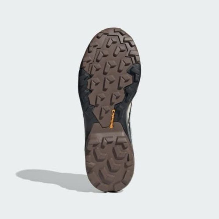 Moteriški neperšlampami batai adidas Terrex Skychaser GTX, įvairiaspalviai
